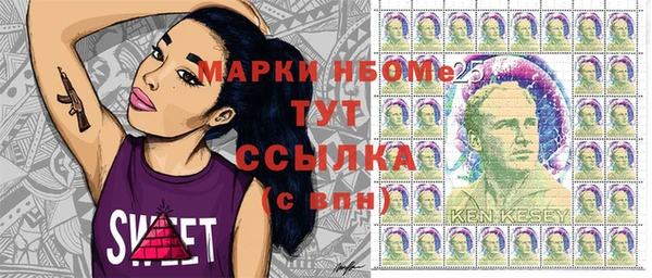 индика Каменногорск