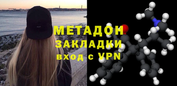 индика Каменногорск
