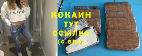 индика Каменногорск
