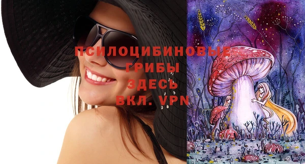 дмт Каменка