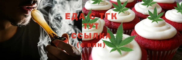 индика Каменногорск