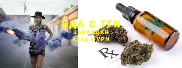индика Каменногорск
