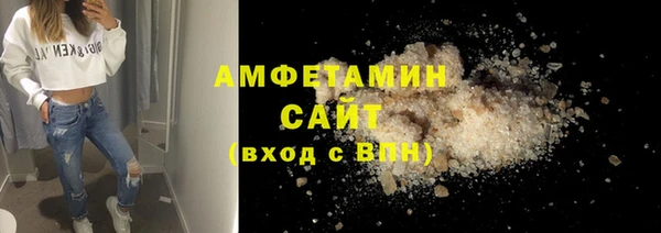 индика Каменногорск