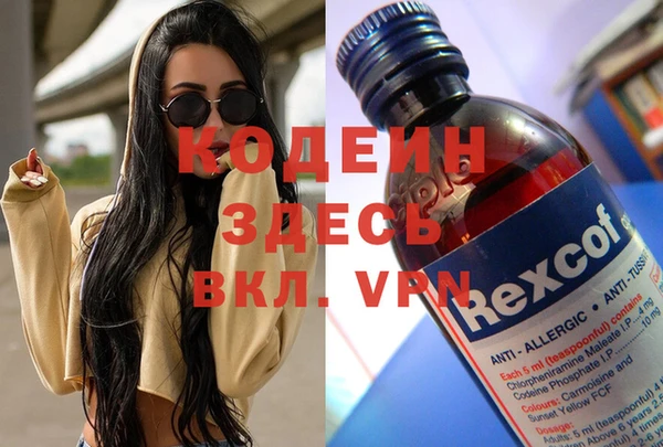 индика Каменногорск