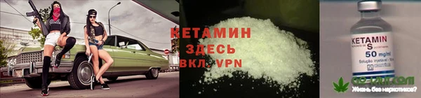 дмт Каменка