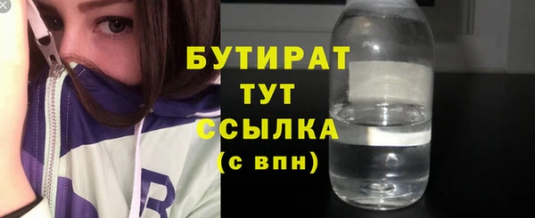 индика Каменногорск