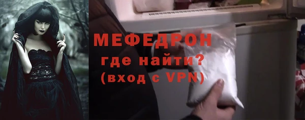 индика Каменногорск