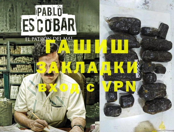 дмт Каменка