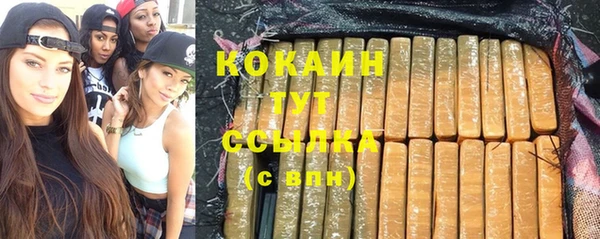 индика Каменногорск