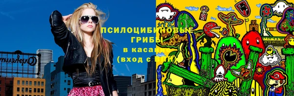 индика Каменногорск