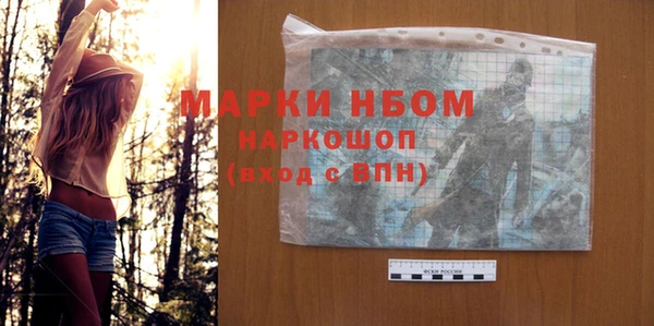 дмт Каменка