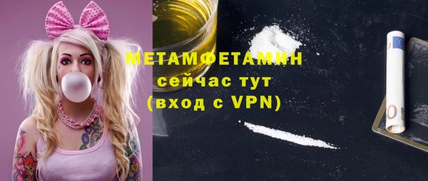 индика Каменногорск