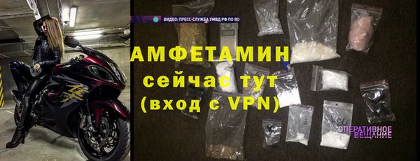 дмт Каменка