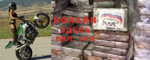 индика Каменногорск