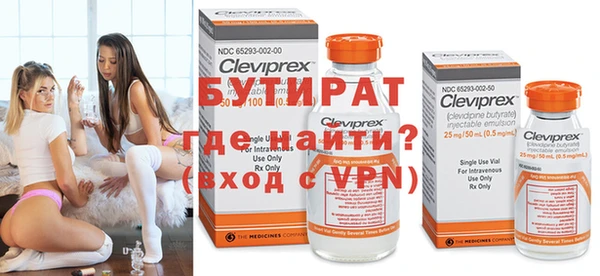 индика Каменногорск