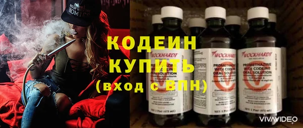 дмт Каменка