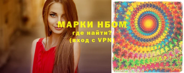 дмт Каменка