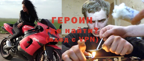 индика Каменногорск