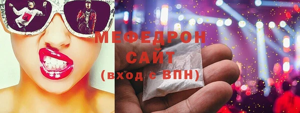 индика Каменногорск
