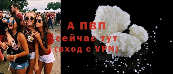 дмт Каменка